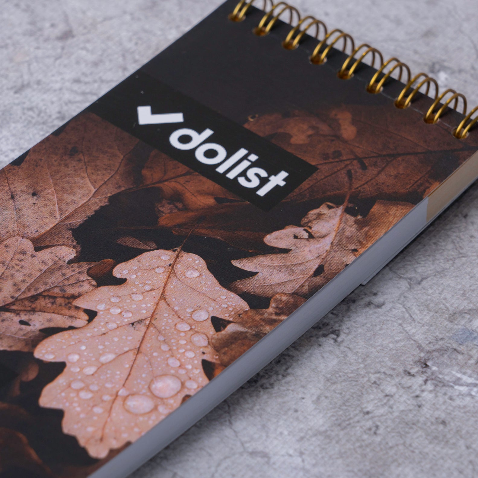 Autumn Vibes To-do list